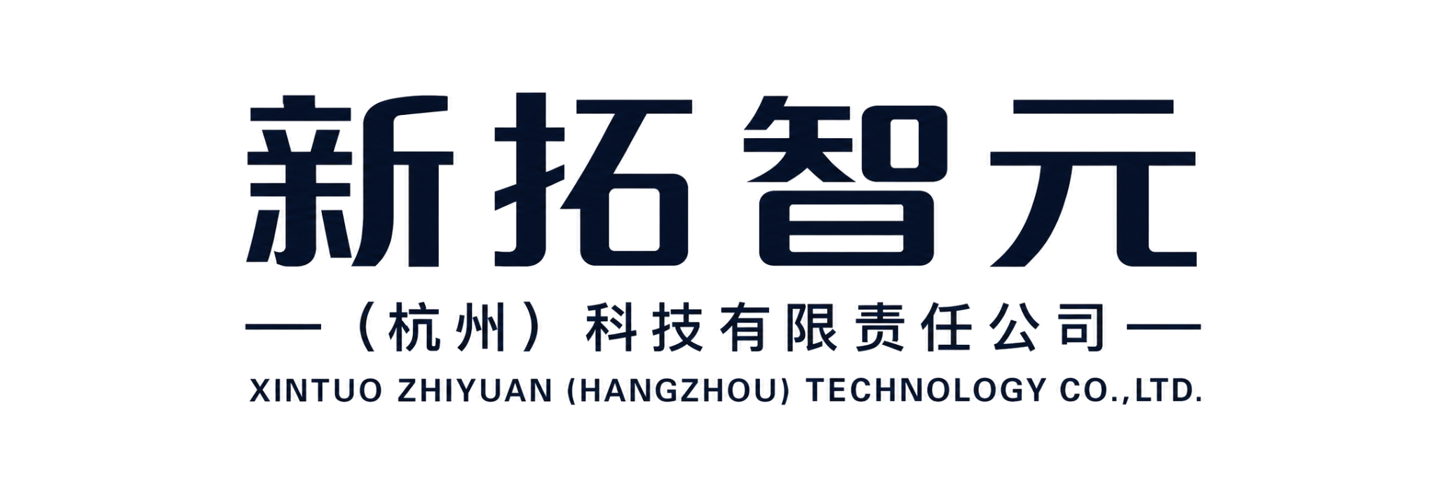 新拓智元（杭州）科技有限责任公司